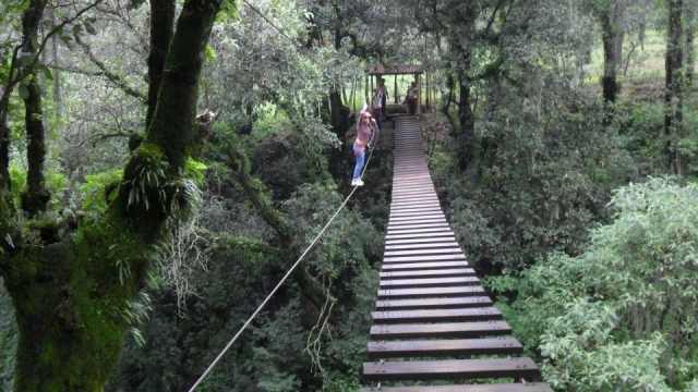  Pontes extremas 